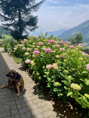 FeWo Hirzer auf dem Familien- & Tierfreundlichen Haslinger Hof